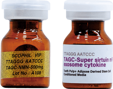 Stem Cell Secretome TTAGGG AATCCC TAGC